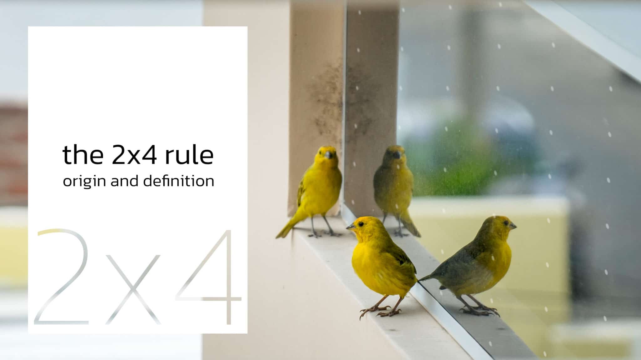 The 2×4 rule: The origin and definition