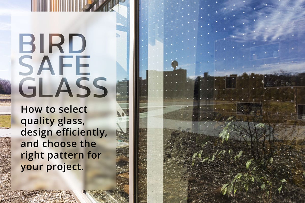 Bird Safe Glass – design rules to meet your budget and minimize bird collisions