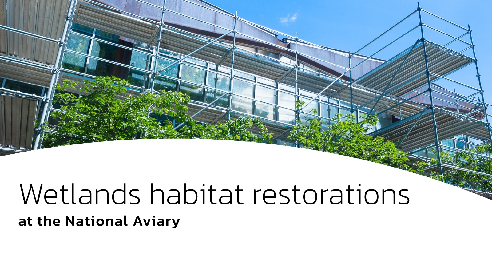 Walker Glass and The National Aviary Continue their Tradition of  Bird-friendly Building