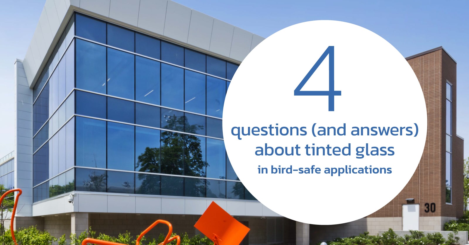 Four Questions (and Answers) About Tinted Glass in Bird-Safe Applications