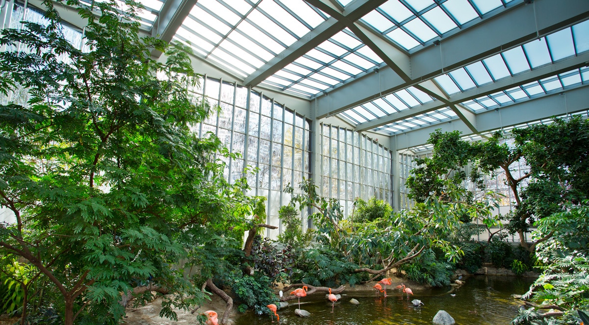 National Aviary Wetlands restoration with AviProtek bird-friendly glass