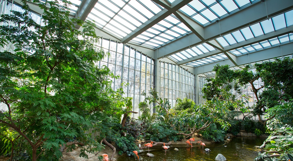 Acid-Etched Glass Improves Daylighting at the National Aviary Wetlands Habitat