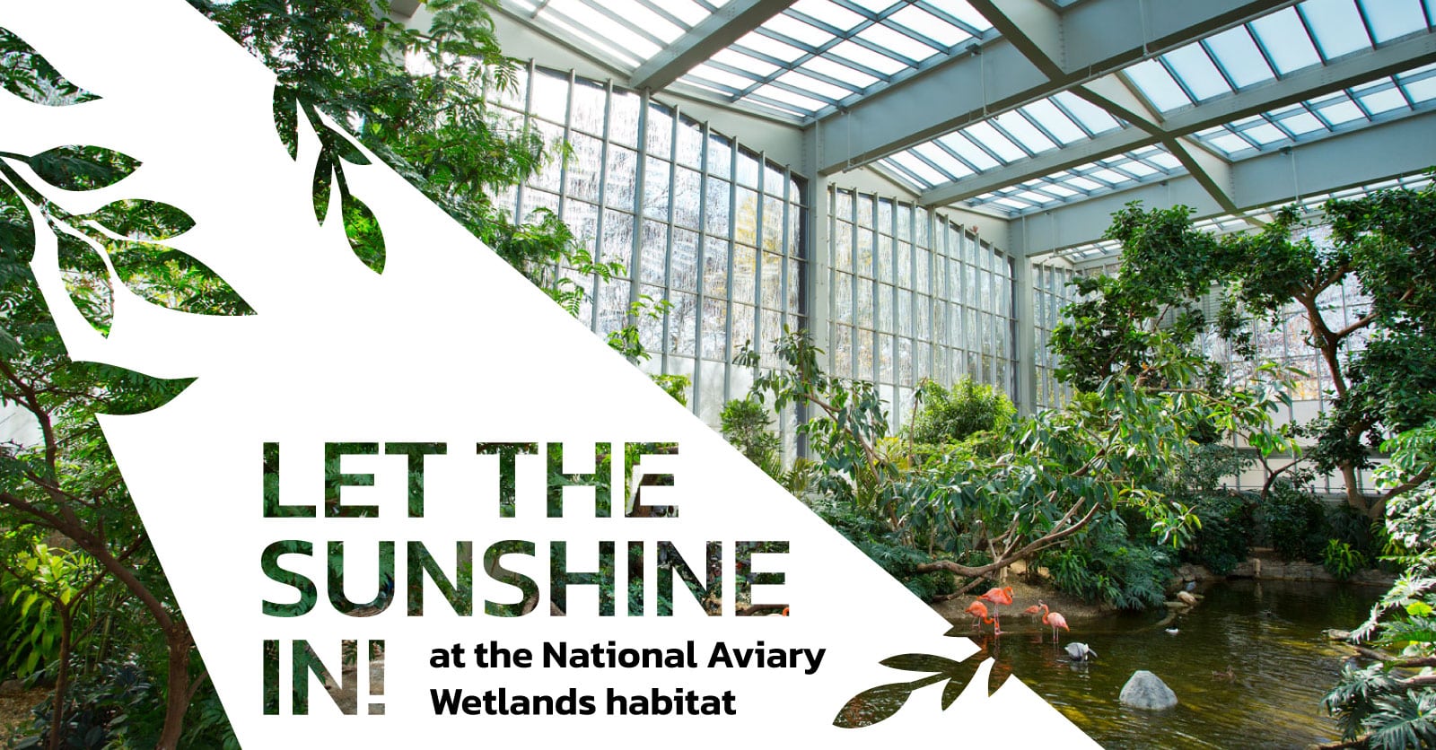 Let the sunshine in! How Acid-Etched Glass Improves Daylighting and Saves Birds’ Lives at the National Aviary Wetlands Habitat