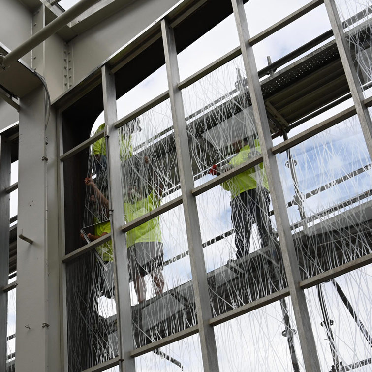 Glaziers installing panels of AviProtek bird friendly glass